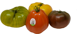 Hacienda Special Reserve Tomatoes