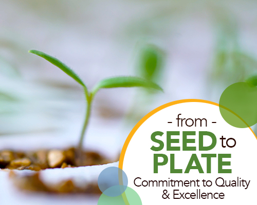 From Seed to Plate: Red Sun Farms' Commitment to Quality and Excellence