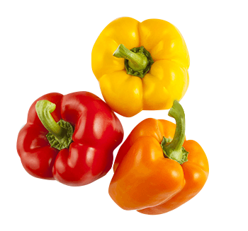 Tri Color Sweet Bell Peppers