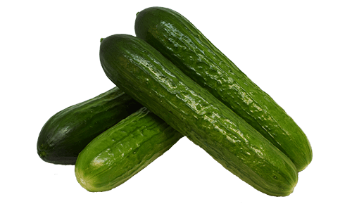 Artisan Series Cucumbers