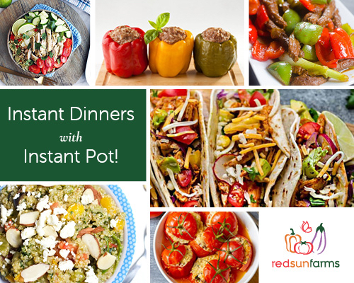 Instant Dinners with Instant Pot