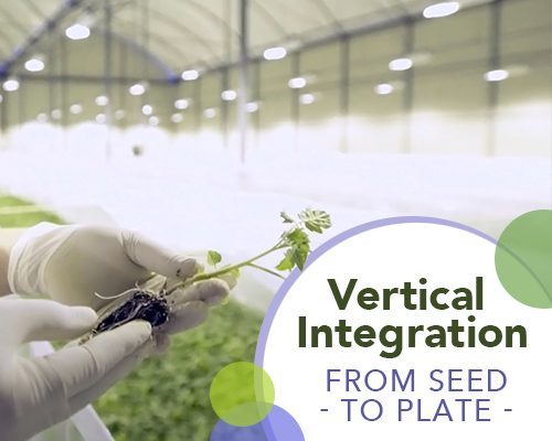 Vertical integration: From Seed to Plate