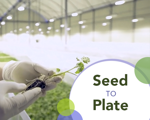 Seed to Plate