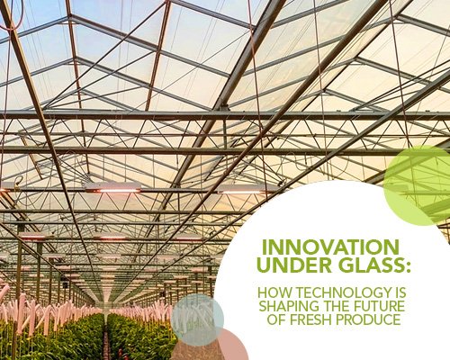 Innovation Under Glass: How Technology Is Shaping the Future of Fresh Produce