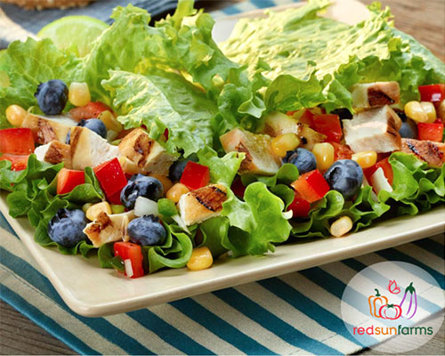 7 Summer Barbecue Recipes by Red Sun Farms