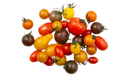 Artisan Series Tomatoes